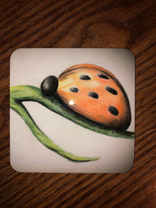 Ladybug Coaster