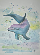 Playful Dolphin Print